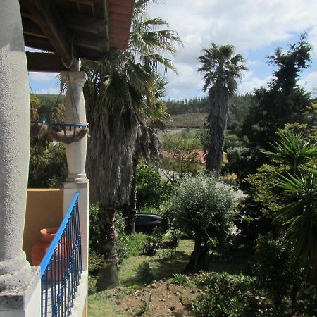 Casa Amarela Apartment Sao Pedro de Tomar Bagian luar foto