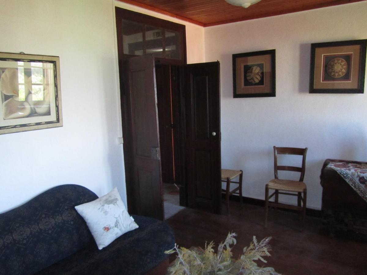 Casa Amarela Apartment Sao Pedro de Tomar Bagian luar foto